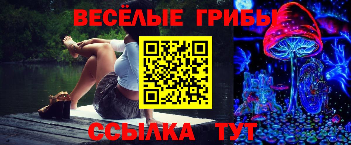Псилоцибиновые грибы Magic Shrooms  Псилоцибиновые грибы мухоморы  магазин  наркотиков  Вход с VPN  Нарьян-Мар 